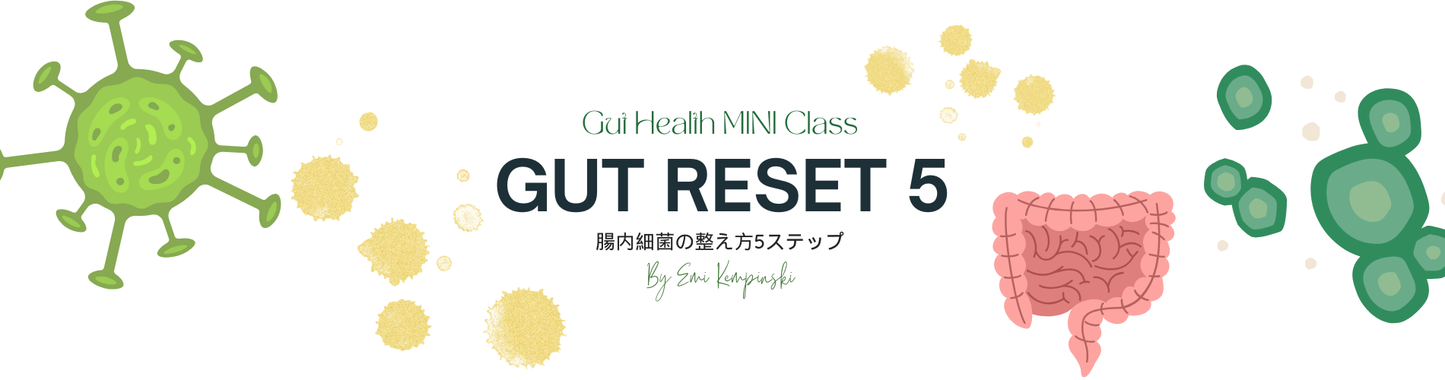 GUT RESET 5 〜腸内細菌の整え方5ステップ〜