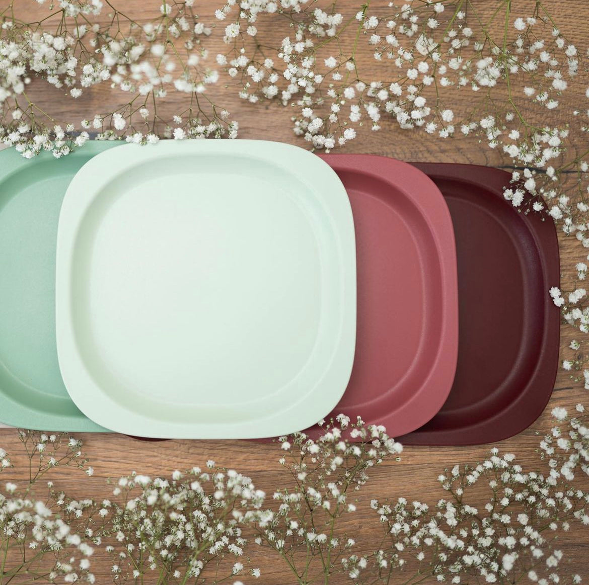 プレート アボカドグリーン